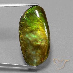 Ammolite Multicolore naturelle Fantaisie, 11.74 ct, Opaque