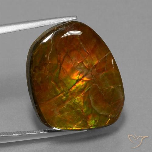 Ammolite Multicolore naturelle Fantaisie, 16.13 ct, Opaque