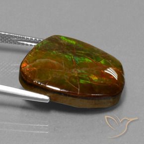 Ammolite Multicolore naturelle Fantaisie, 16.13 ct, Opaque