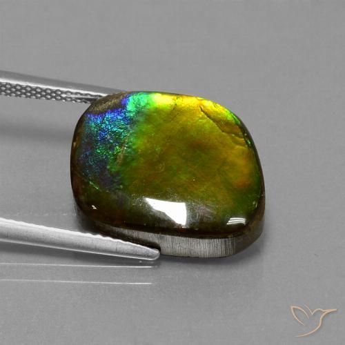 Ammolite Multicolore naturelle Forme fantaisie, 11.27 ct, Opaque