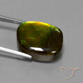 Ammolite Multicolore naturelle Forme fantaisie, 11.27 ct, Opaque