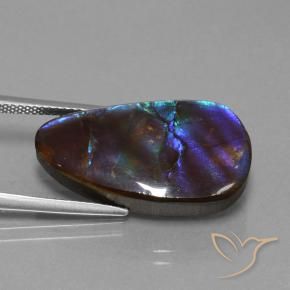Ammolite Multicolore naturelle Fantaisie, 14.98 ct, Opaque