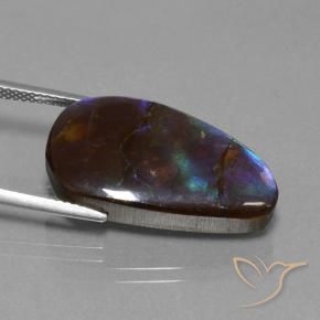 Ammolite Multicolore naturelle Fantaisie, 14.98 ct, Opaque