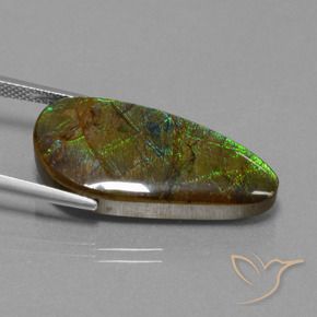 Ammolite Multicolore naturelle Fantaisie, 16.23 ct, Opaque
