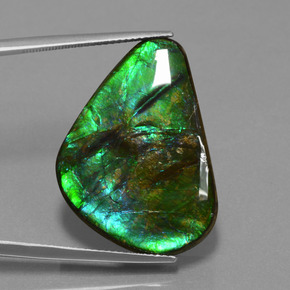 Ammolite multicolore naturelle trillion, 24,56 ct, opaque