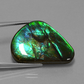 Ammolite multicolore naturelle trillion, 24,56 ct, opaque