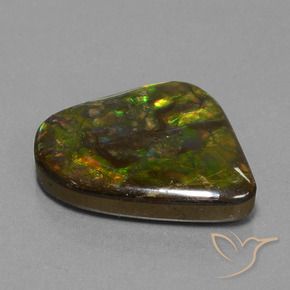 Ammolite Multicolore naturelle Fantaisie, 25.17 ct, Opaque