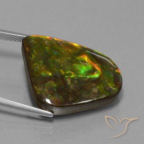 Ammolite Multicolore naturelle Fantaisie, 25.17 ct, Opaque