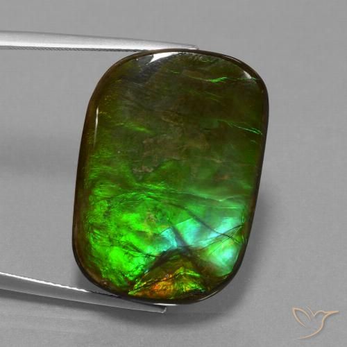 Ammolite Multicolore naturelle Coussin, 21.97 ct, Opaque