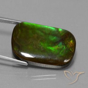 Ammolite Multicolore naturelle Coussin, 21.97 ct, Opaque