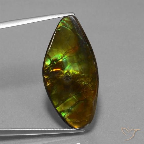 Ammolite Multicolore naturelle Fantaisie, 19.04 ct, Opaque