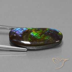 Ammolite Multicolore naturelle Fantaisie, 16.37 ct, Opaque