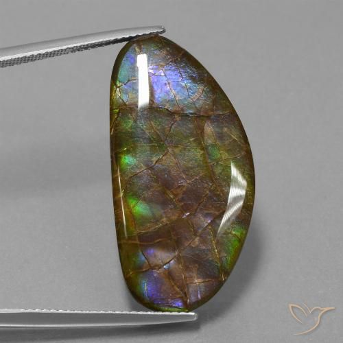 Ammolite Multicolore naturelle Fantaisie, 26.24 ct, Opaque