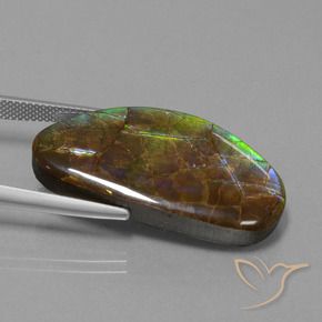Ammolite Multicolore naturelle Fantaisie, 26.24 ct, Opaque