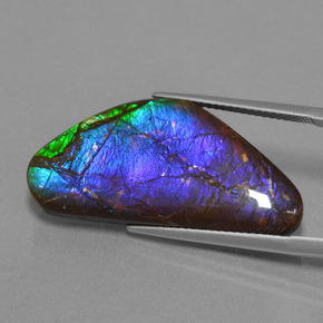 Ammolite Multicolore naturelle Forme fantaisie, 18.58 ct, Opaque