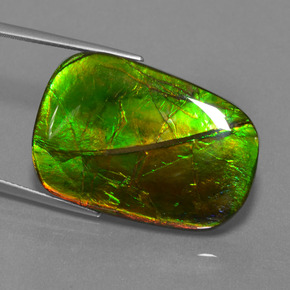 Ammolite multicolore naturelle coupe coussin, 24,17 ct, opaque