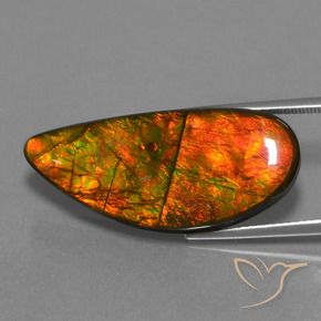 Ammolite Multicolore naturelle Fantaisie, 18.94 ct, Opaque