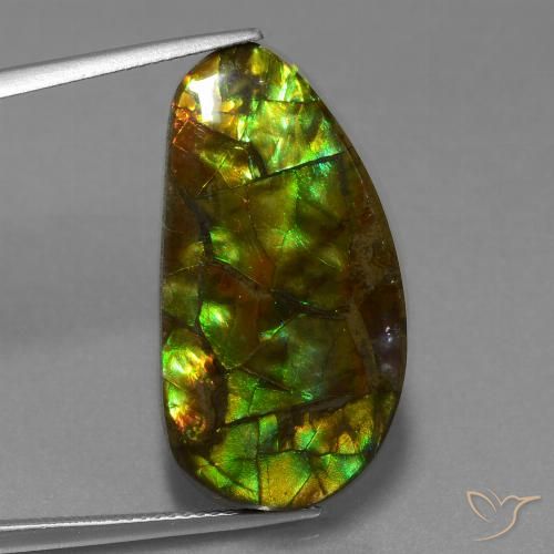 Ammolite Multicolore naturelle Fantaisie, 18.96 ct, Opaque