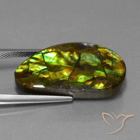 Ammolite Multicolore naturelle Fantaisie, 18.96 ct, Opaque