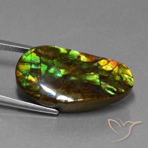 Ammolite Multicolore naturelle Fantaisie, 18.96 ct, Opaque