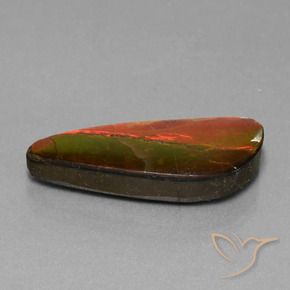 Ammolite Multicolore naturelle Fantaisie, 13.94 ct, Opaque