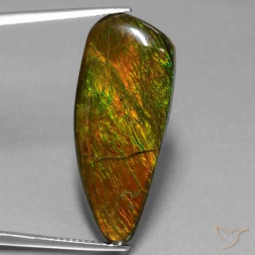Ammolite Multicolore naturelle Fantaisie, 18.13 ct, Opaque