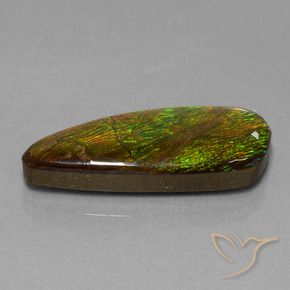 Ammolite Multicolore naturelle Fantaisie, 18.13 ct, Opaque
