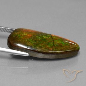 Ammolite Multicolore naturelle Fantaisie, 18.13 ct, Opaque