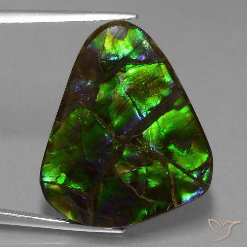 Ammolite Multicolore naturelle Trillion, 21.05 ct, Opaque