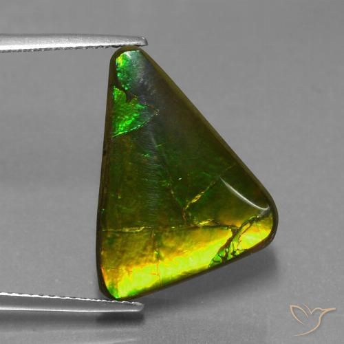 Ammolite multicolore naturelle trillion, 11,34 ct, opaque
