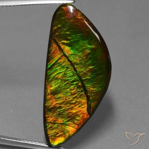 Ammolite Multicolore naturelle Fantaisie, 19.31 ct, Opaque