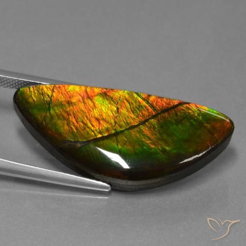 Ammolite Multicolore naturelle Fantaisie, 19.31 ct, Opaque