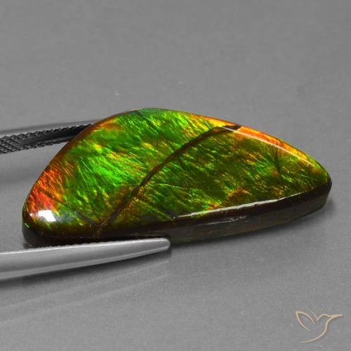 Ammolite Multicolore naturelle Fantaisie, 19.31 ct, Opaque