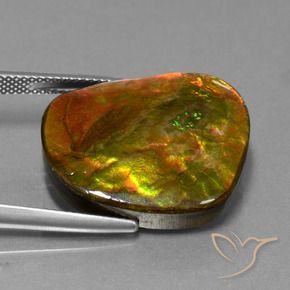 Ammolite Multicolore naturelle Fantaisie, 20.65 ct, Opaque