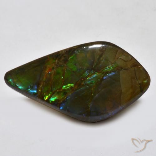 Ammolite Multicolore naturelle Fantaisie, 18.15 ct, Opaque