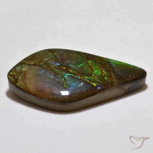Ammolite Multicolore naturelle Fantaisie, 18.15 ct, Opaque