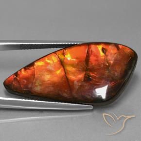 Ammolite Multicolore naturelle Fantaisie, 23.09 ct, Opaque
