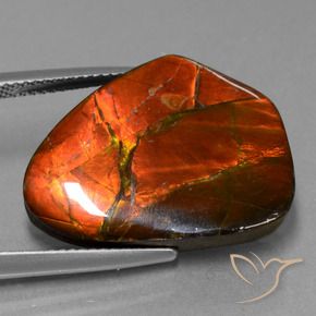 Ammolite Multicolore naturelle Fantaisie, 15.20 ct, Opaque