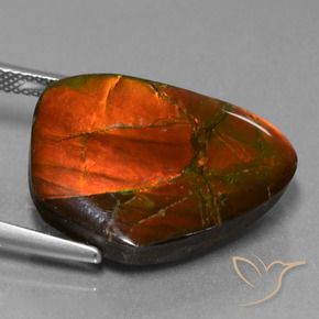 Ammolite Multicolore naturelle Fantaisie, 15.20 ct, Opaque