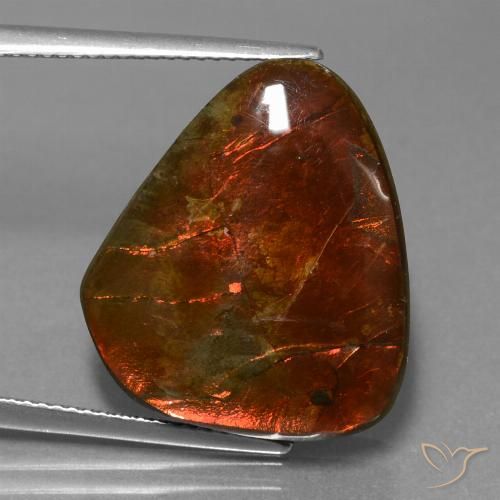 Ammolite Multicolore naturelle Fantaisie, 16.97 ct, Opaque