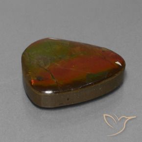 Ammolite Multicolore naturelle Fantaisie, 16.97 ct, Opaque