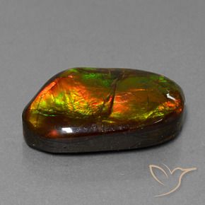 Ammolite Multicolore naturelle Fantaisie, 18.18 ct, Opaque