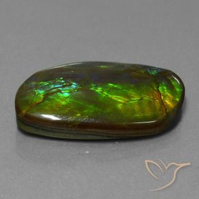 Ammolite Multicolore naturelle Fantaisie, 19.80 ct, Opaque