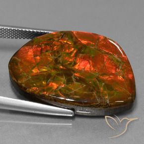 Ammolite Multicolore naturelle Fantaisie, 25.32 ct, Opaque