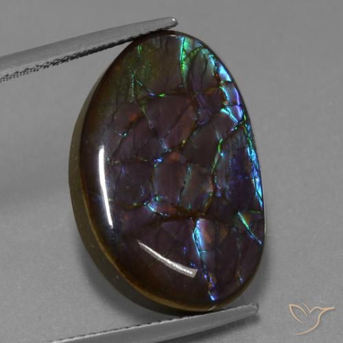 Ammolite Multicolore naturelle Fantaisie, 14.02 ct, Opaque