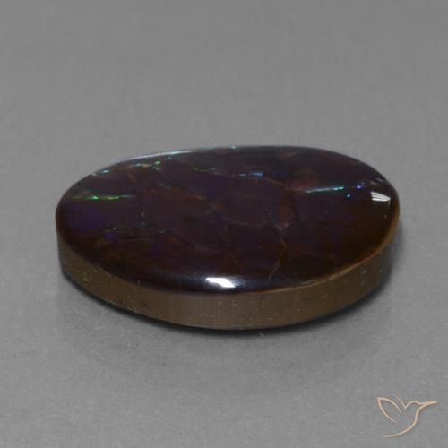 Ammolite Multicolore naturelle Fantaisie, 14.02 ct, Opaque