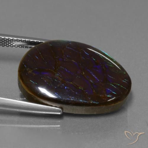 Ammolite Multicolore naturelle Fantaisie, 14.02 ct, Opaque