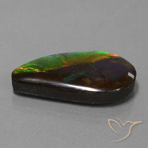 Ammolite Multicolore naturelle Fantaisie, 18.29 ct, Opaque