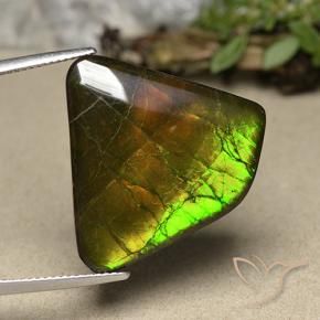 Ammolite Multicolore naturelle Fantaisie, 18.57 ct, Opaque