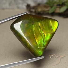 Ammolite Multicolore naturelle Fantaisie, 18.57 ct, Opaque